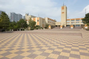 Купите тротуарную плитку Б.2.П.8 гладкая коричневая