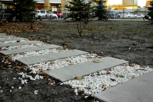 Купите прямоугольную тротуарную плитку от производителя «Выбор»