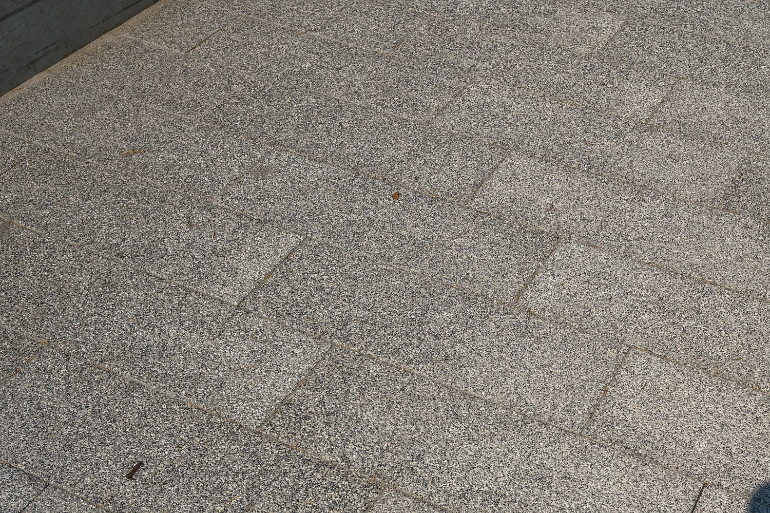 Сквер с историей географов открыли по улице Дзержинского в Тюмени